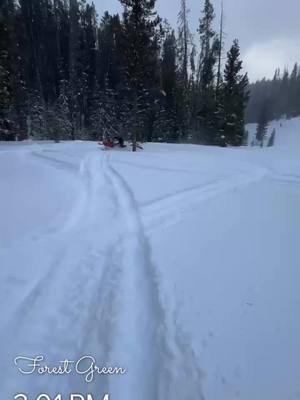 A post by @chooch_master_1466 on TikTok caption: @philopatz taking @Bret Moulzolf and I to all the untouched meadow’s. #lynx #polaris #skidoo #montana #keshaislife 