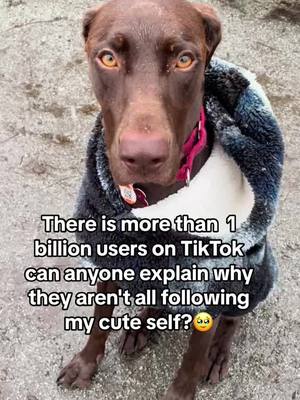 A post by @rocky12gsp on TikTok caption: I don’t understand..I'm not cute enough? 🥹☺️