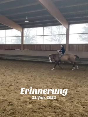 A post by @_sonnenpferdchen_ on TikTok caption: #erinnerung 