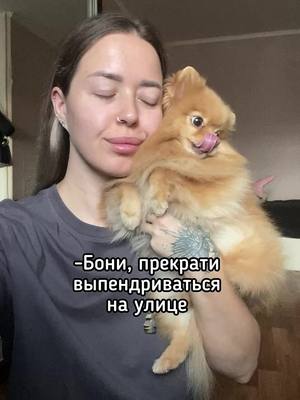 A post by @sherdochka on TikTok caption: tgk: sheerdogs #новокузнецк