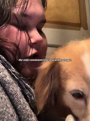 A post by @zoesmindset on TikTok caption: I take her to my grave.  #dogsoftiktok #mentalsupport #Love #fyp #viral