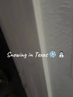 A post by @ashshah3 on TikTok caption: Snowing 🌨️ 😊#ashshah3 #snowingintexas #usatiktok🇺🇸 