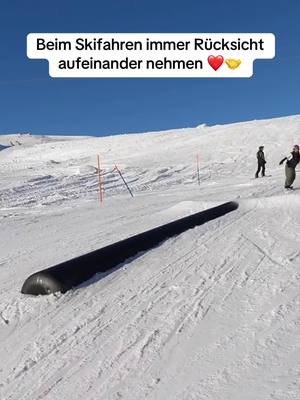 A post by @fregepaul on TikTok caption: Twitch: fregepaul, aditotoro #fregepaul #aditotoro #skitok #ski #berge #comedy 