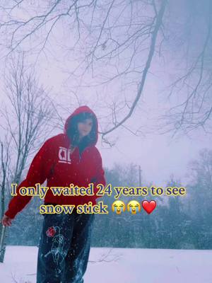 A post by @charliifox on TikTok caption: It’s a miracle #foryoupage #fypシ #viralvideo #fyp #trending #featureme #featurethis #tiktokviral #mississippi #south #snowday #winterstorm #winterwonderland 