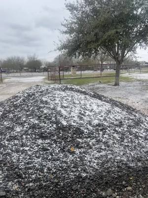 A post by @angelicavaldez863 on TikTok caption: Texas Snow? 