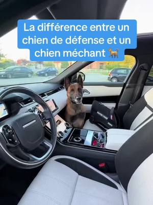 A post by @redmalinois31 on TikTok caption: Alors tu en pense quoi ? 😨🫶🏼 #redog #agentcynophile #maitrechien 