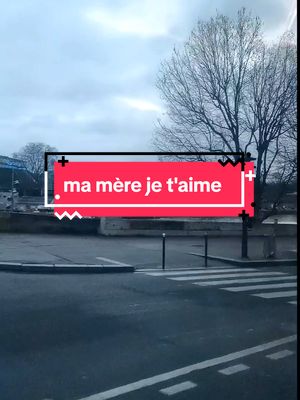 A post by @francais.arabic2 on TikTok caption: ma mère je t'aime.... #apprendrelefrançais #تعلم_اللغة_الإنجليزية #apprendresurtiktok #france🇫🇷 #france #paris 