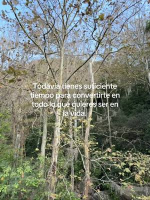 A post by @laritzaquitano on TikTok