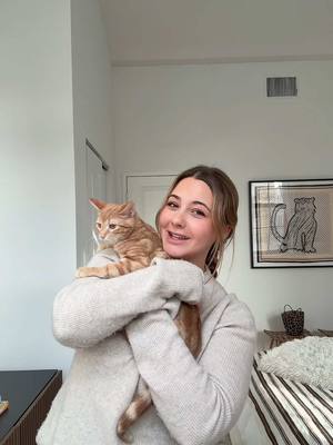 A post by @olivialmarcus on TikTok caption: Cantaloupe is getting adopted! Big shoutout to @Isabel Klee for inspiring me to foster and for her words of wisdom ❤️ #fostercat #kitten #cat #hoboken #nj  