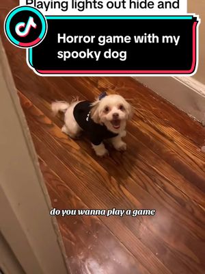 A post by @lante_scary_lives on TikTok caption: #onthisday I played lights out with my skinwalker dog #dogs #scary #pets #hideandseek #spooky #creepy #horror #game 