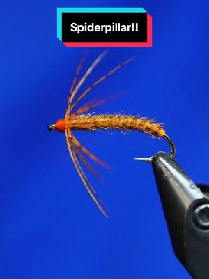 A post by @tiesflies on TikTok caption: Spider fly that looks like a caterpillar? Ok.  Hook: Ahrex core 1270 size 12 Thread: 8/0 uni Body: Chuck n Duck flex floss and organza ribbon cut with the SibNymph cutter Hackle: Dyed Partridge  Tools: TheFlySmith  Resin: UV Craft  #TheFlySmith  #flytying #magpiematerials #magpieturkeybiots #magpiefinebeaverdubbing #whitingfarms #naturesspiritflytying #lidrig #fly #flytyingjunkie #flytyingtutorial #flytyingaddict #flytok #satisfying #flytyingnation #fyp #harelinedubbin  #fishing #flyfishing #pescamosca #Upavon