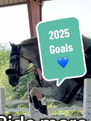 A post by @zanzancancan on TikTok caption: What’s your word for 2025? - Tags 👇🏼 - #horsetrainer #equestrian #showjumper #hunterjumper #dressage #derbyhorse #englishrider #warmblood #ottb #homebred #horsebreeder #barnowner #arkansas 