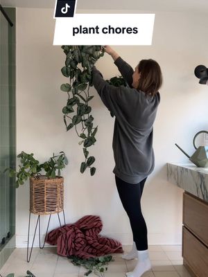 A post by @jojohnsonoverby on TikTok caption: never fear a good trim 🌱 #chores #plants #houseplants #scindapsuspictus #pothos 