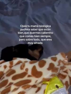 A post by @la_gueritaaaaa on TikTok caption: 👸🏻💗#fyp #viral #paratiiiiiiiiiiiiiiiiiiiiiiiiiiiiiii #fyppppppppppppppppppppppp #fypp #perritos 