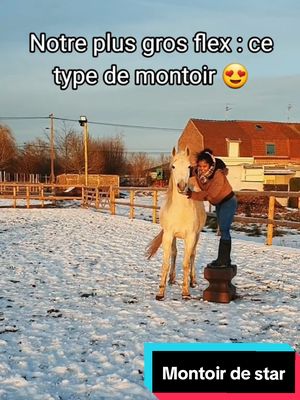 A post by @sora_psar on TikTok caption: Un travail de tous les jours, encore aujourd'hui ! 😍 #pursangarabe #cheval #equitation #montoir #liberte #cejour-là 