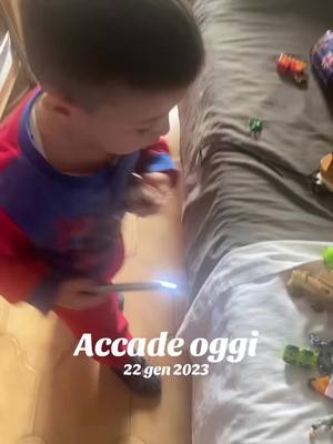 A post by @eli_eli_cepanii on TikTok caption: #accadeoggi 