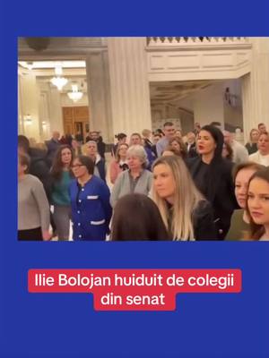 A post by @bereaciprian on TikTok caption: #senat #romania🇹🇩 #fippppppppppppppppp 