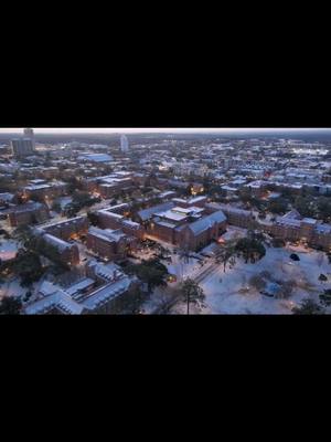 A post by @mikesweatherpage on TikTok caption: 11/22 Very rare snow fell in Tallahassee. #florida #tallahassee #fsu #floridastateuniversity #snow #mikesweatherpage #mwp #fyp 