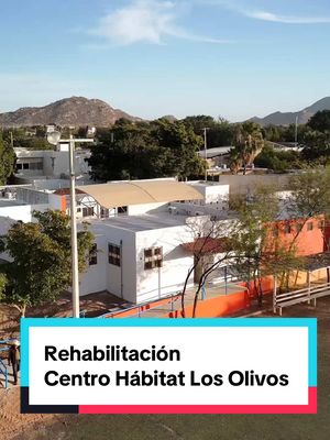 A post by @tonoastiazaran on TikTok caption: Transformamos un lugar abandonado en un sitio para apoyar a las familias de #Hermosillo.🤝 En diciembre prometimos rehabilitar el Centro Hábitat Los Olivos ¡y regresamos a #cumplir! ✅ Pronto la comunidad contará con Clínica #CRECESenSalud, aulas de capacitación y Casa de los #Abuelos. 🙌🏼 #TrabajoQueSeNota #HermosilloSonora #Obra #GobiernodeHermosillo #PresidenteMunicipal #México #ParaTi #Fyp 