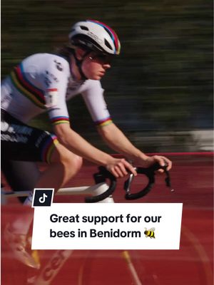 A post by @teamvisma_leaseabike on TikTok caption: Our bees had the best support crew in Benidorm last weekend! 🐝  #teamvismaleaseabike #beyondvictory #benidorm 