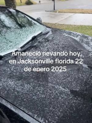 A post by @soy_angelitoh on TikTok caption: Asi estuvo la nieve hoy en Jacksonville florida no fue mucho como otros lados de florida #foryourpage #fypage #nieve #florida 