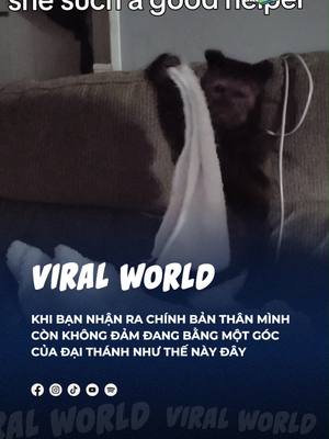 A post by @beatvn_viralworld on TikTok caption: Tự cảm thấy bản thân còn không bằng em nó nữa =))) #beatviralworld #beatnetwork #bnetwork #beatvn #beatoflife