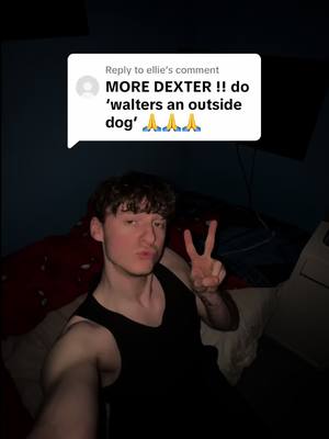 A post by @jackmjchalmers on TikTok caption: Replying to @ellie rita is so fine 😍 i can’t wait to watch her and dex live a happy healthy life together until they’re old and grey!! 😝 #fyp #dexter #morgan #tv #show #scene #walter #impressions #acting #dog #hetellyouthat #newblood #rita 