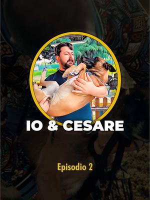 A post by @scuolapercani on TikTok caption: Cesare in ufficio | IO & CESARE_S1 | E2