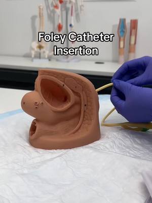 A post by @nurseinthemakingkristine on TikTok caption: Foley Catheter Insertion 🧼🧤👩‍⚕️ #NursingSchool #NurseInTheMaking #ClinicalSkills #StudentNurse #FoleyCatheter #NursingLife #FutureNurse #NursingTips