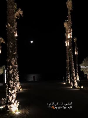 A post by @asiriah707 on TikTok caption: أمشي وأدور في الوجوه  تايه عيونك توهوه🍂🎼#fypシ#محمد_عبده#explore#بحر_الخبر 