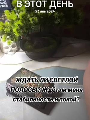 A post by @orakul35 on TikTok caption: #ВэтотДень