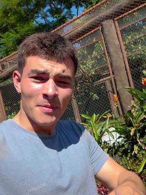 A post by @tiago_jacomo_iop on TikTok caption: O que acontece na imersão no mundo das onças? Link na bio!