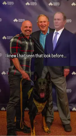 A post by @k9_mattis on TikTok caption: That look when you get to meet Mattis…