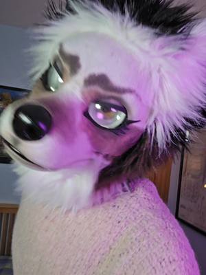 A post by @riverspey on TikTok caption: #fursuit #furryfandom #furry 