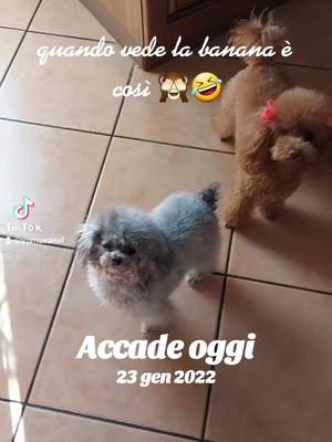 A post by @barboncini3 on TikTok caption: #accadeoggi