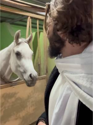 A post by @zaidelomar on TikTok caption: Horseriding help! #madinah #islam #horse #horseriding 