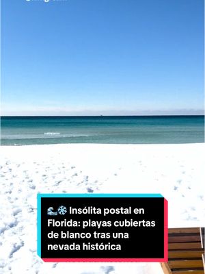 A post by @elespanolcom on TikTok caption: En un giro inesperado de la meteorología el estado de Florida, conocido por su sol y temperaturas cálidas, ha sido testigo de una nevada histórica. La tormenta invernal Enzo ha traído consigo grandes cantidades de nieve, un fenómeno meteorológico que no se veía en décadas. 📍 Las imágenes del vídeo corresponden a Panama City Beach. 📹 nottacummins  y kimgream #playa #nieve #nevada #panamacitybeach #florida