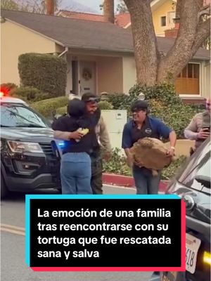 A post by @elespanolcom on TikTok caption: 🐢 La emoción de una familia tras reencontrarse con su tortuga que fue rescatada sana y salva tras los incendios en California: "¡Un milagro!" La mascota fue descubierta en un agujero del patio trasero de su casa en Eaton, que quedó destruida por las llamas. Un agente de San Dimas localizó y rescató con éxito a Rocky. #tortuga #incendio #california #familia #mascota #animal #losangeles #casa #rescate #policia 