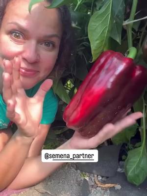 A post by @petrojbnral on TikTok caption: #fyp #foryou #petrovchanka #garden #crop #foryoupage #lera #petrovchanka_lera 