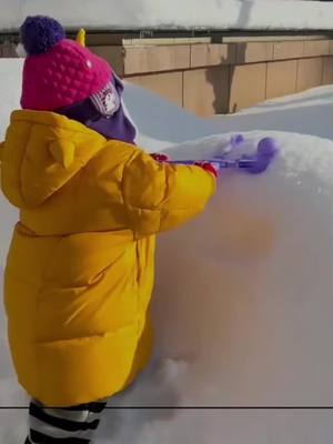 A post by @uhih57vu on TikTok caption: #TikTokShop#Snow play #What winter should be like #Snow play #Snowy fun #Snowy fun #Duck snowball holders