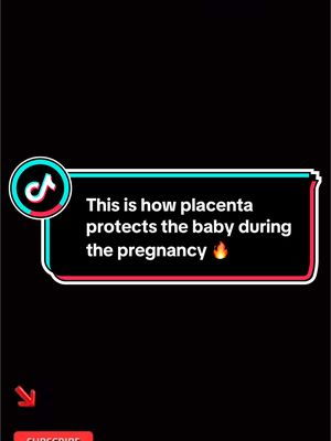 A post by @datingshowpromo on TikTok caption: This is how placenta protects the baby during the pregnancy #CapCut #creatorsearchinsights #pregnancy #protection 