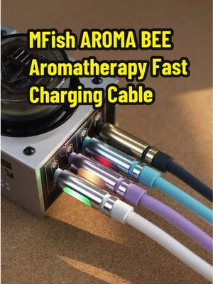 A post by @chidsj on TikTok caption: MFish AROMA BEE Aromatherapy 240W-USB C Fast Charging Cable#valentinedayspecial #mfishchargingcable #Mfish #Aromatherapy #Fastchargingcable #Fastcharging #USBccord #ttstastemakers #techtok