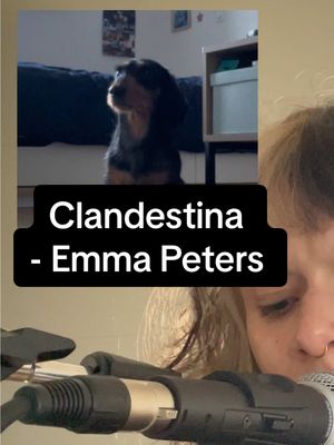 A post by @napihuman on TikTok caption: plus à l’écoute que la plupart des gens 🥹 @Emma Peters #cover #singer #teckel #piano #dachshund 