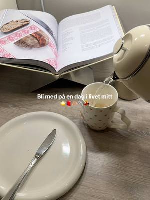 A post by @frideikkefrida on TikTok caption: Lenge siden sist 🩷🩷 #fyp #dennedagen #dayinmylife #student #diml 