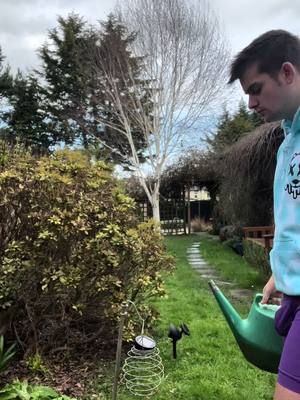 A post by @leonbaypage on TikTok caption: Watering my babies  #gardening 