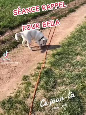 A post by @phaloukruby on TikTok caption: #cejour-là