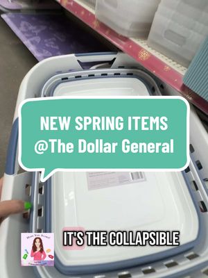 A post by @liz_the_clearancequeen on TikTok caption: Have you seen all the new spring purple dot 🟣 items at the Dollar General?! Hope you score✌🏼#liztheclearancequeen #hopeyouscore✌🏼 #savingmoney #dollargeneral #dollargeneralcouponing #couponer #couponing #spring #springdecor 