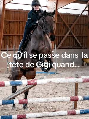 A post by @lesaneriesdegigi on TikTok caption: -là juste par ce que c’est toujours d’actualité 😂 #gigiteam #chevaltiktok #chevalpassion❤️ #trotteurfrançais🐎 #equitation #chevaux #chevalpassion #horses #cejour-là 