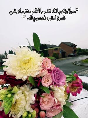 A post by @photography496 on TikTok caption: "#سيُذيقهم الله نفس الألم حتى لو في شئ اخر، فدعهم لله. " 🌷🌹##راقت#تصويري_تصميمي #تصميم_فيديوهات🎶🎤🎬 #راقت_لي #تيك_توك_عرب #اكسبلورexplore #فوريو_foryou #اكسبلورexplore #تيك_توك_عرب #راقت_لي #سوريا_تركيا_العراق_السعودية_الكويت #بريطانيا🇬🇧 #uk #هولندا_امستردام_اوترخت_لاهاي_ورتردام #المانيا_السويد_النمسا_النروج_دينيمارك #فوريو_foryou #