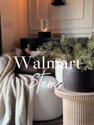 A post by @summertstyles on TikTok caption: Shop all My Home with the link in bio 🥰 : Or shop this post directly here ➡️ https://liketk.it/53yop     I love these muted green stems. 🤎 They give off a simple modern vide.    Stems | Modern Decor | Assortment | Faux Stems     #walmarthome #walmartfauxstems #springfauxatems #mutedgreenstems #modernfauxstems #moodyhomedecor #modernhomedecor